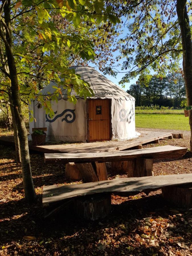 Plush Tents Yurt Village Chichester Esterno foto