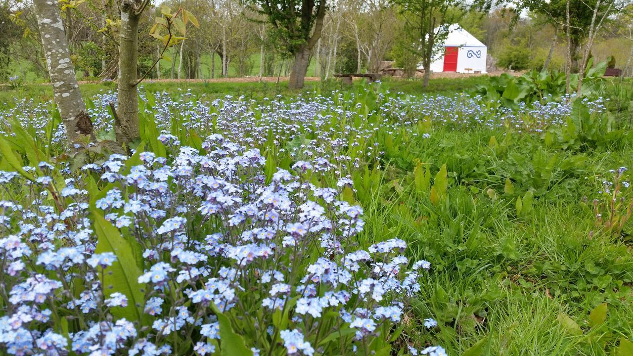 Plush Tents Yurt Village Chichester Esterno foto