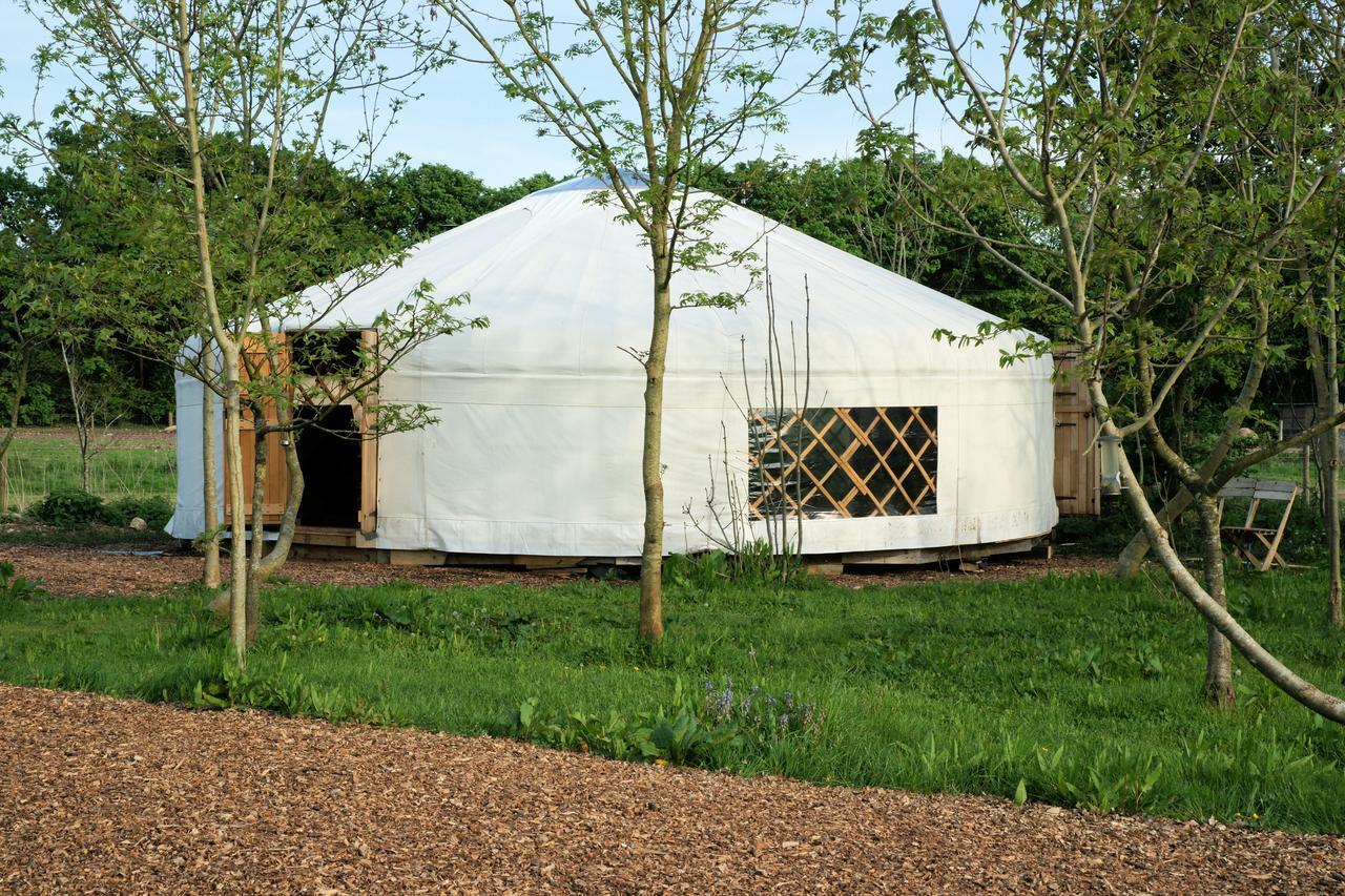 Plush Tents Yurt Village Chichester Esterno foto