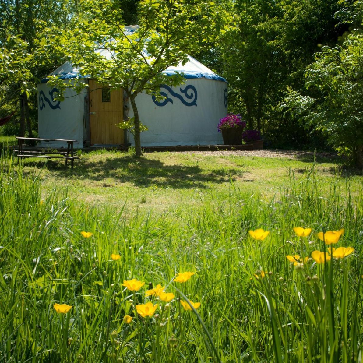 Plush Tents Yurt Village Chichester Esterno foto